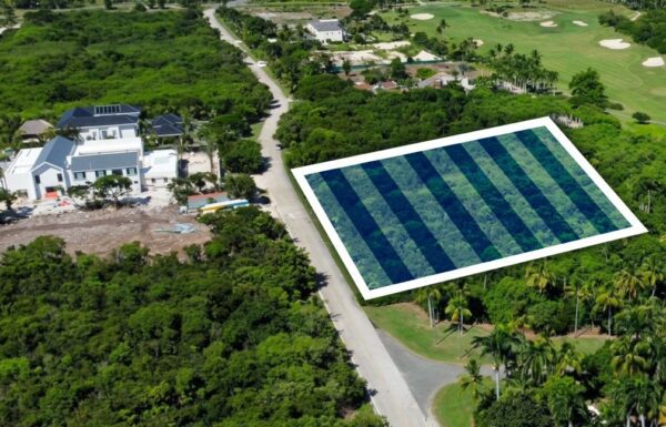 WhatsApp-Image-2026-03-22-at-12.13.36-AM