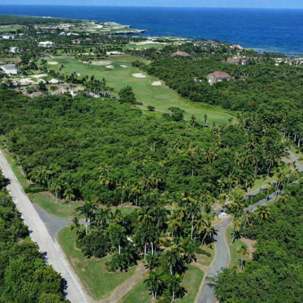 WhatsApp-Image-2026-03-22-at-12.22.45-AM-2